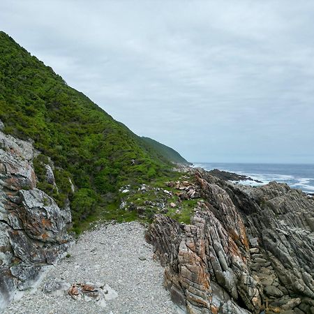 The Stargazing Cube - Misty Mountain Reserve Stormsrivier Exteriör bild