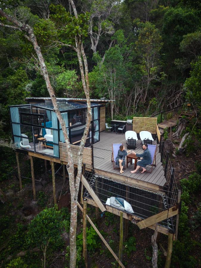 The Stargazing Cube - Misty Mountain Reserve Stormsrivier Exteriör bild