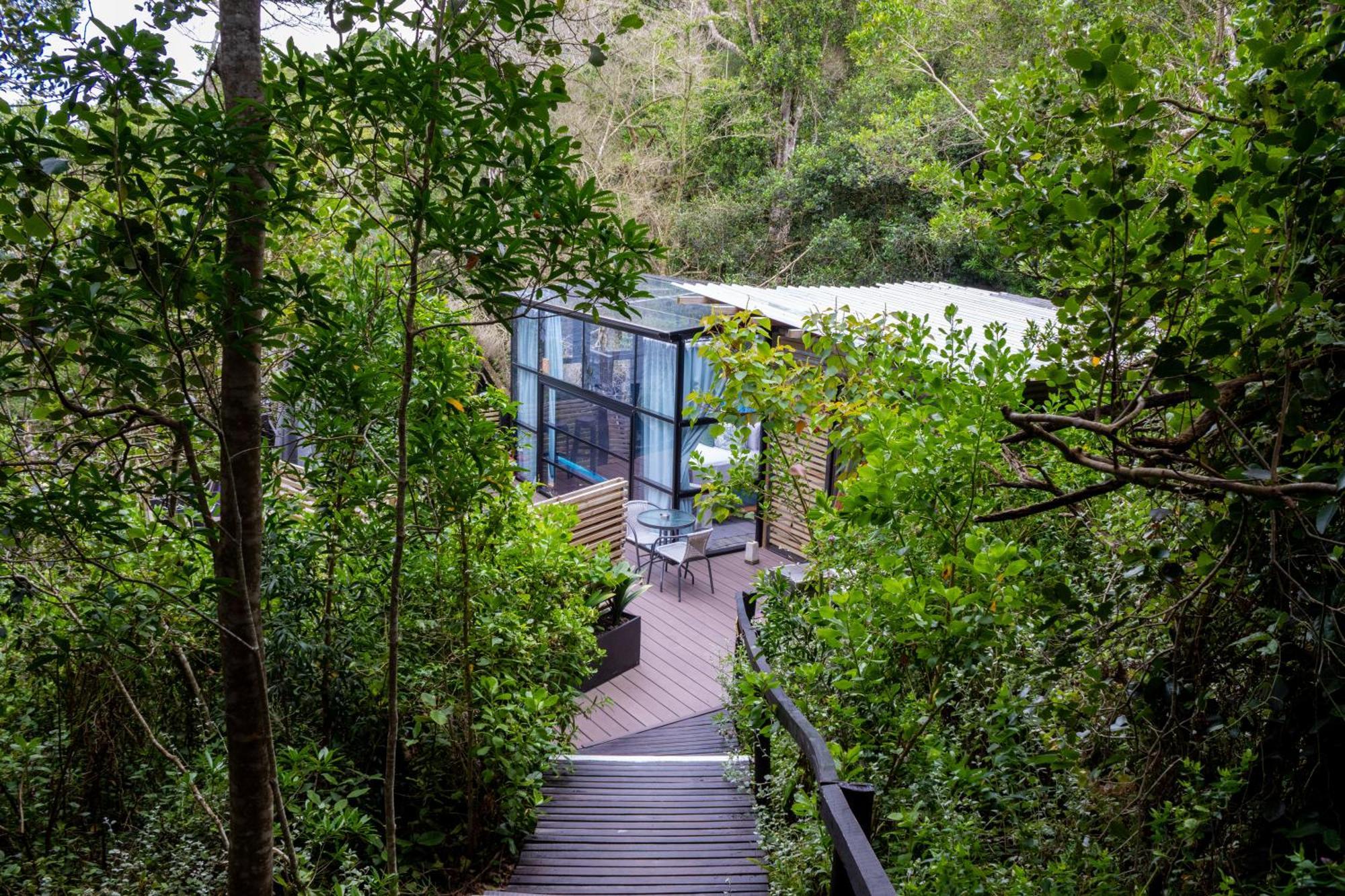 The Stargazing Cube - Misty Mountain Reserve Stormsrivier Exteriör bild